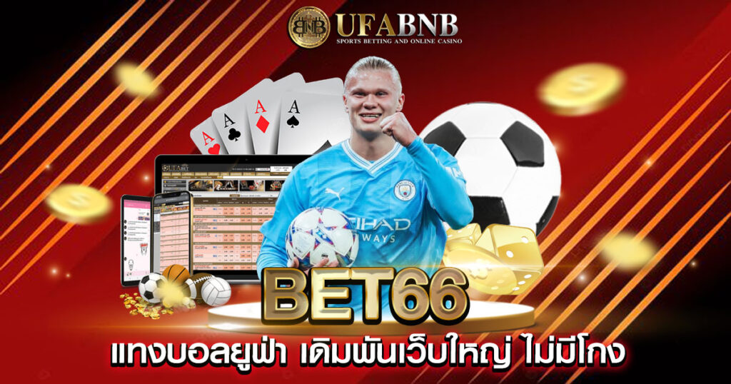 bet66