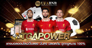 tgapower