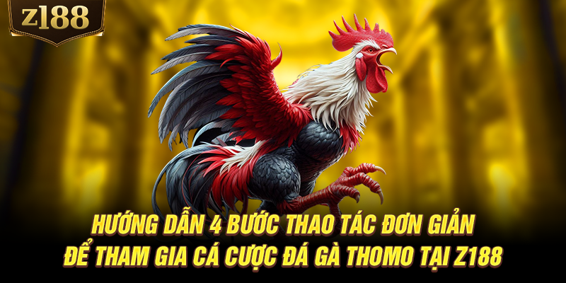 Hướng dẫn 4 bước thao tác đơn giản để tham gia cá cược đá gà Thomo tại Z188
